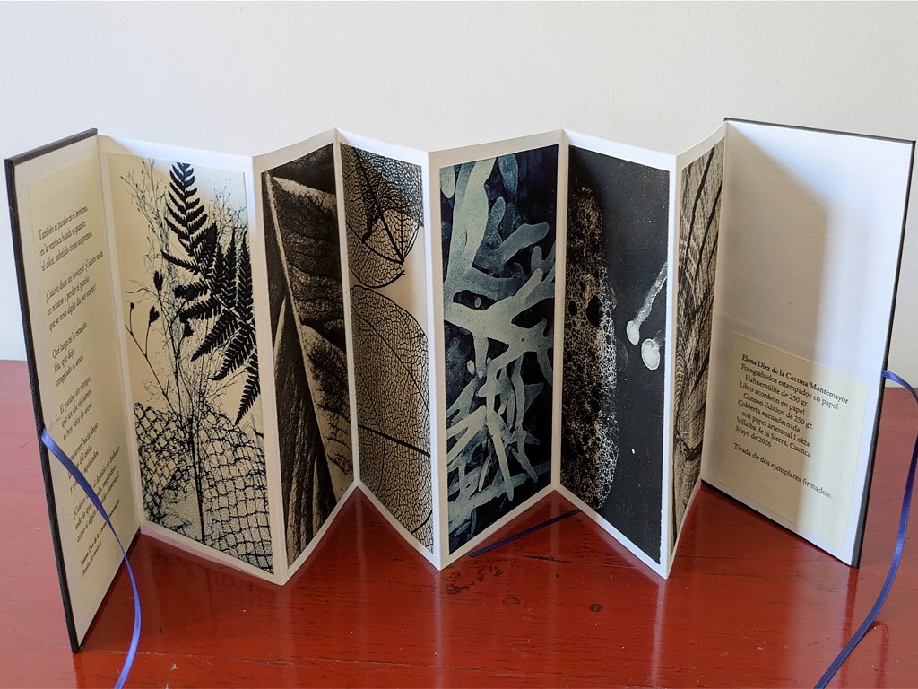 libros3